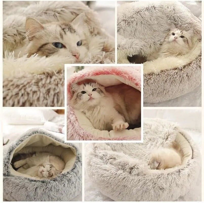 KittyKraze Fekhely