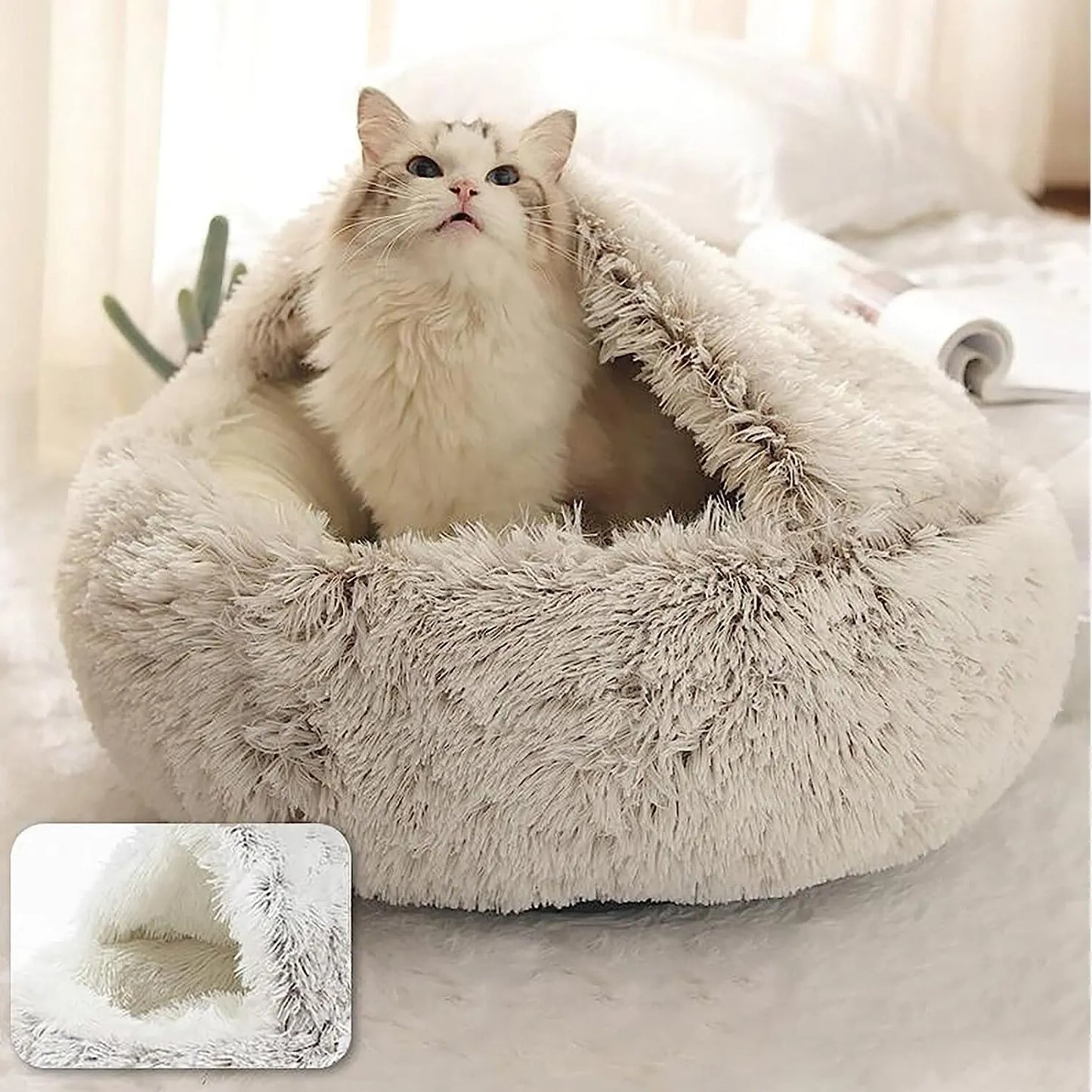 KittyKraze Fekhely