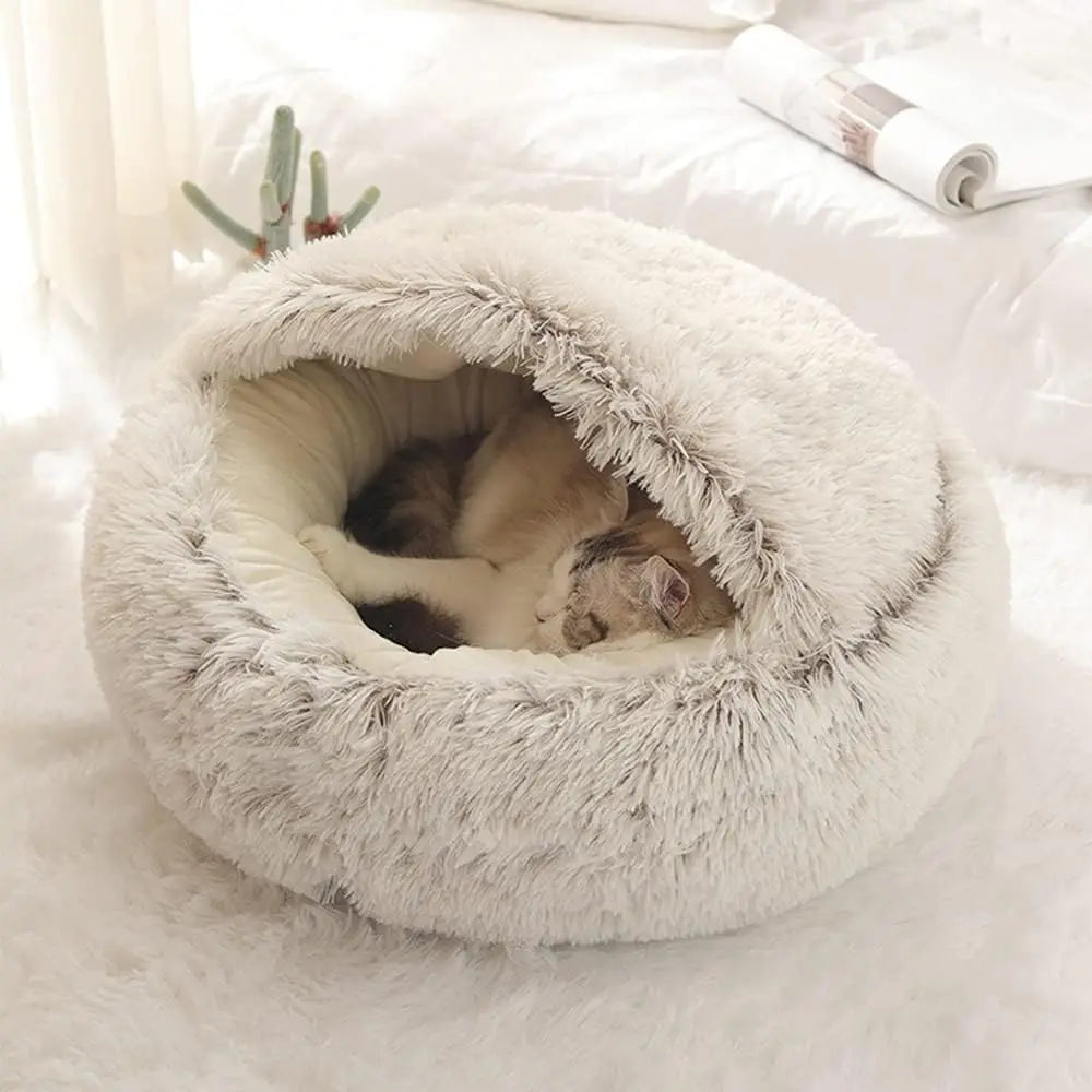 KittyKraze Fekhely