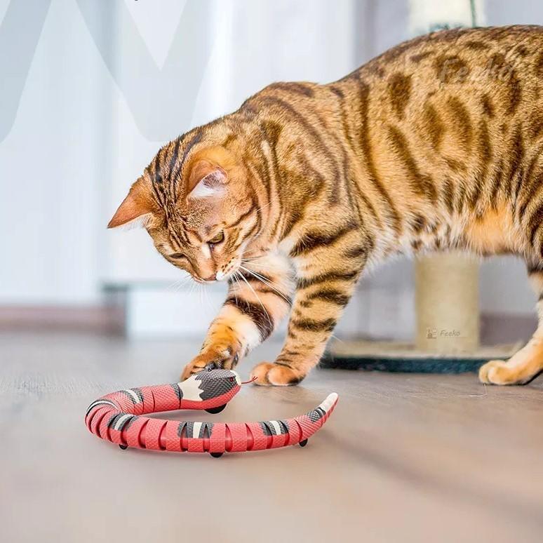 KittyKraze Kobra játék