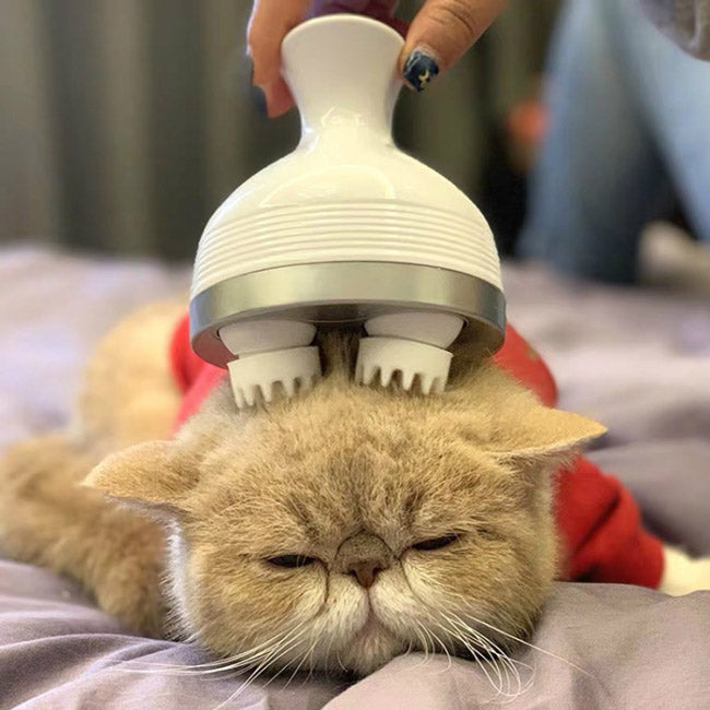 KittyKraze Masszírozó