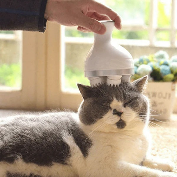 KittyKraze Masszírozó