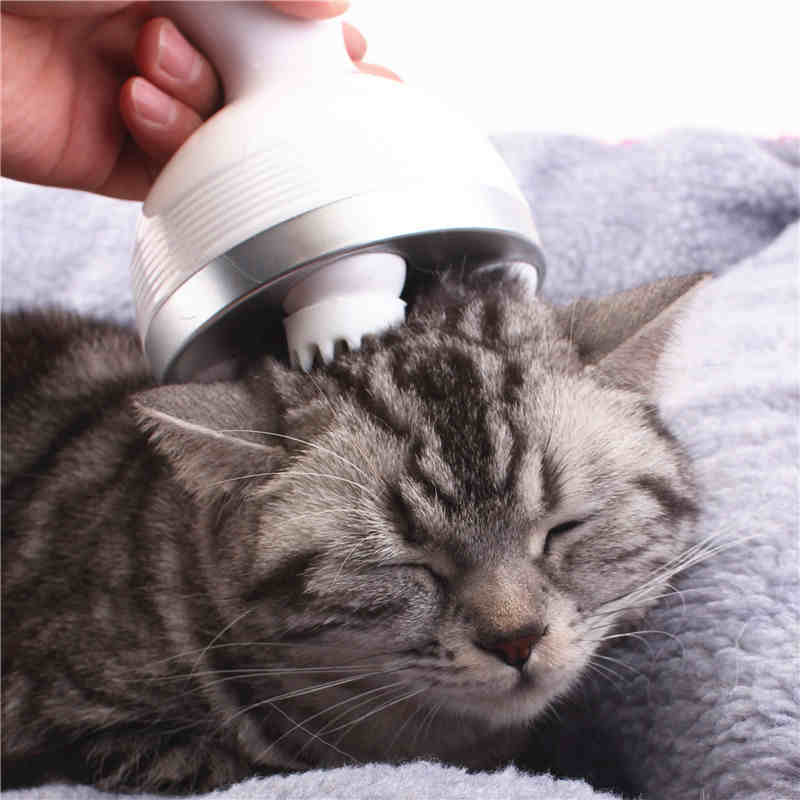 KittyKraze Masszírozó