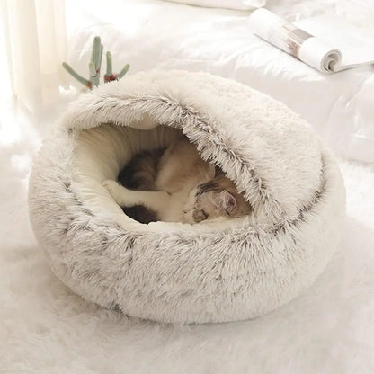 KittyKraze Fekhely