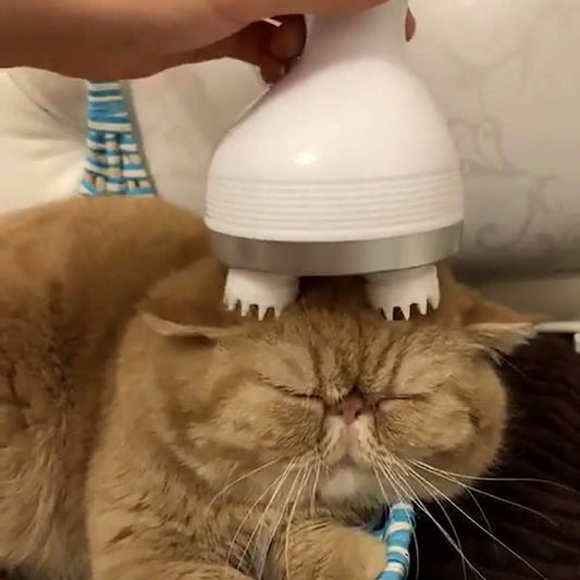 KittyKraze Masszírozó