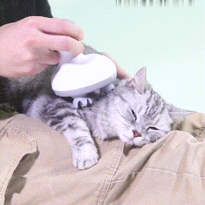 KittyKraze Masszírozó